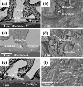 110℃老化100小時的焊點SEM圖。 110℃老化100小時的焊點SEM圖。