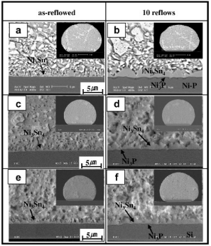 回流后Sn63Pb37/ENIG界面 回流后Sn63Pb37/ENIG界面