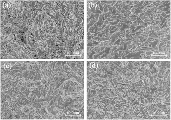 1679290458275120.jpg 1679290458275120.jpg