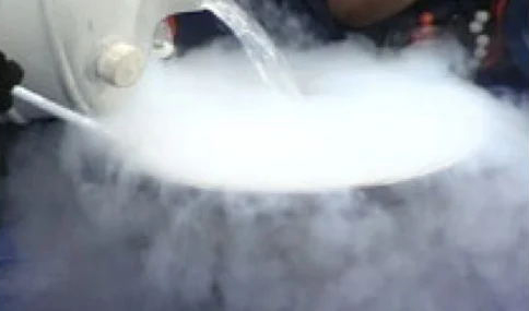 1690337546970935.jpg 1690337546970935.jpg