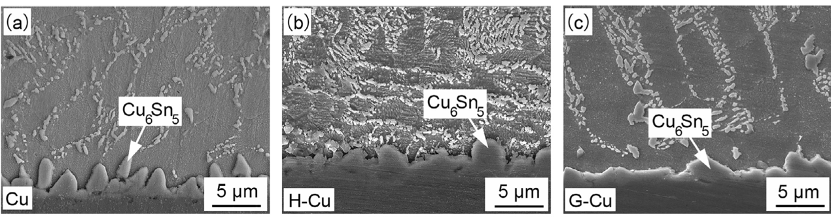 SAC305和Cu基板的界面IMC。